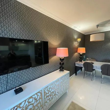 Luxury For In 公寓 波兹南